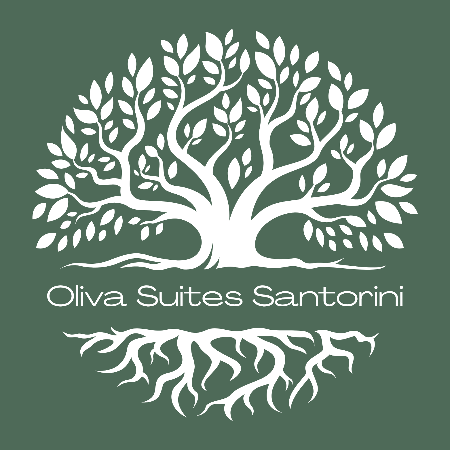 Oliva Santorini